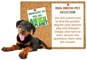 Dog Breed Selector 2